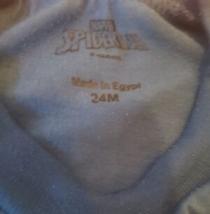 Marvel Spider-Man Blue T-Shirt